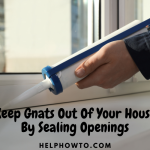 Keep Gnats Out Of Your House By Sealing Openings