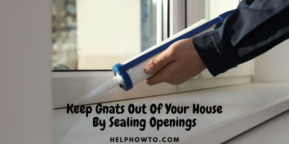 Keep Gnats Out Of Your House By Sealing Openings