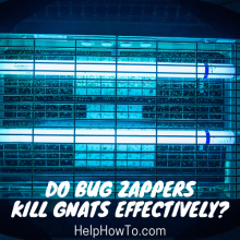 Do Bug Zappers Kill Gnats Effectively