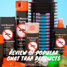 Review Of Popular Gnat Trap Products