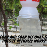 Vinegar And Soap DIY Gnat Trap - Does It Actually Work
