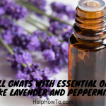 Kill Gnats With Essential Oils Like Lavender And Peppermint