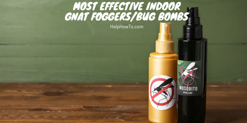Most Effective Indoor Gnat Foggers/Bug Bombs