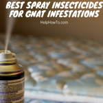 Best Spray Insecticides For Gnat Infestations