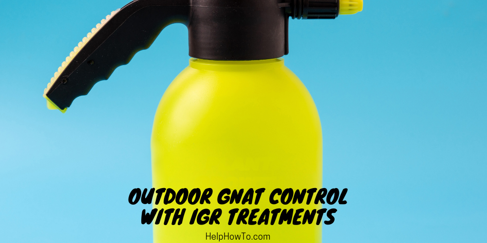 Outdoor Gnat Control With IGR Treatments