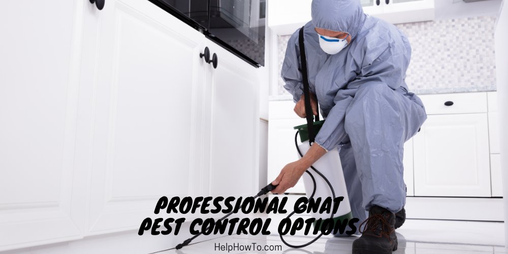 Professional Gnat Pest Control Options