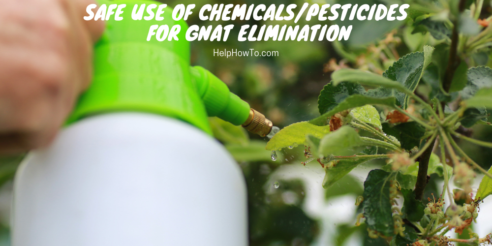 Safe Use Of Chemicals/Pesticides For Gnat Elimination